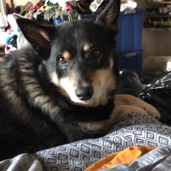 Meet your Posher, Chad - Picture 1 of 1